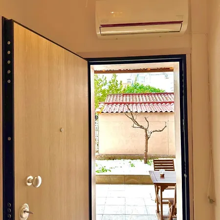 Olea Daire